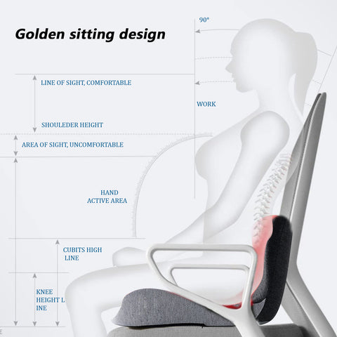 SCIATIX Sciatic Relief Pillow