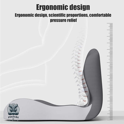 Doctor Pillow Postura Cushion