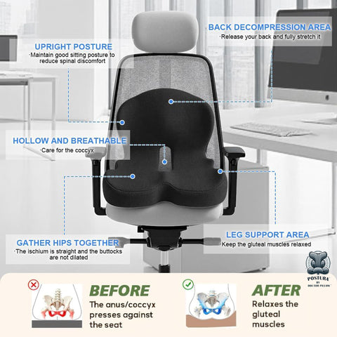 Doctor Pillow Postura Cushion