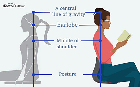 POSTURE PRO LUMBAR SUPPORT ULTIMO Ergonomic excellence: Lumbar support Chair