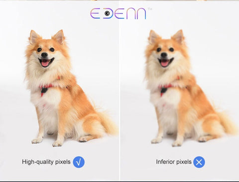 EDENN Geniuz 2 Way HD SECURITY CAMERA