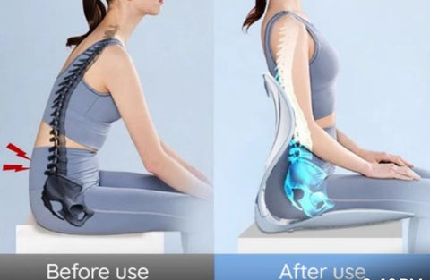 POSTURE PRO LUMBAR SUPPORT ULTIMO Ergonomic excellence: Lumbar support Chair